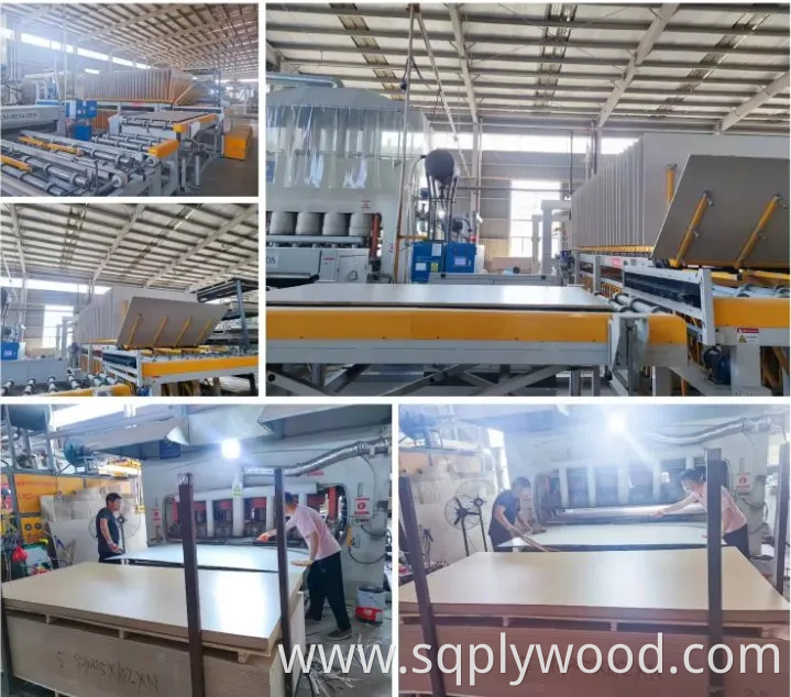 Melamine Waterproof Plywood 1220*2440* 12mm 18mm Melamine Coated Plywood Made in China